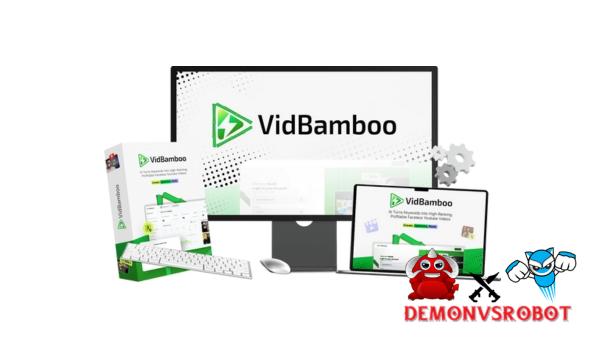 VidBamboo DVR